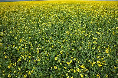 超自然射击游戏《埃尔帕索，身在他处》将改编真人作品