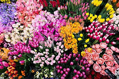 《城市公交模拟器 2024》序章免费发布 体验公交驾驶